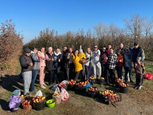 Яблоневый «город-сад» в селе Мясоедово: в рамках развития арготуризма белгородцев приглашают на самосбор яблок