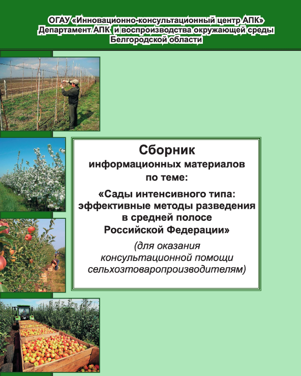 Сады интенсивного типа: эффективные методы разведения в средней полосе РФ