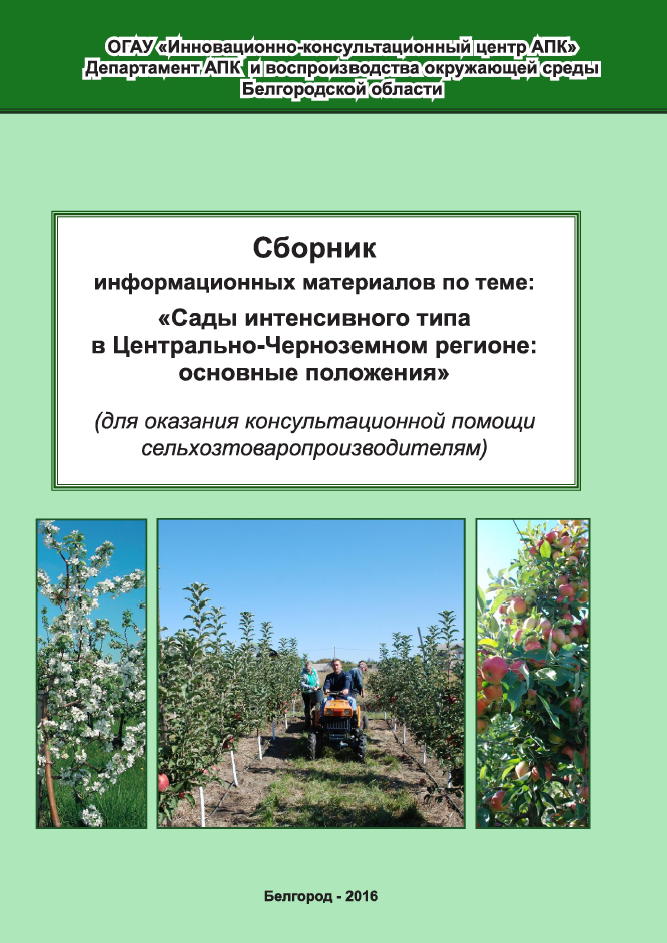 Сад интенсивного типа в Центрально-Черноземном регионе: основные положения