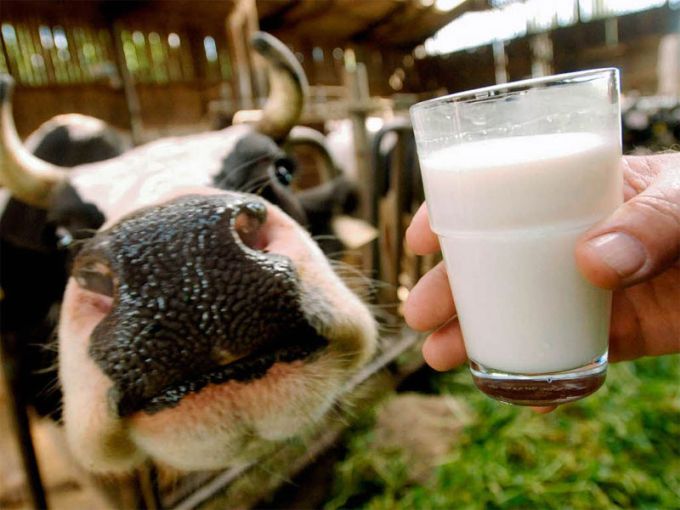 Рынок молока за 2013-2015 гг.