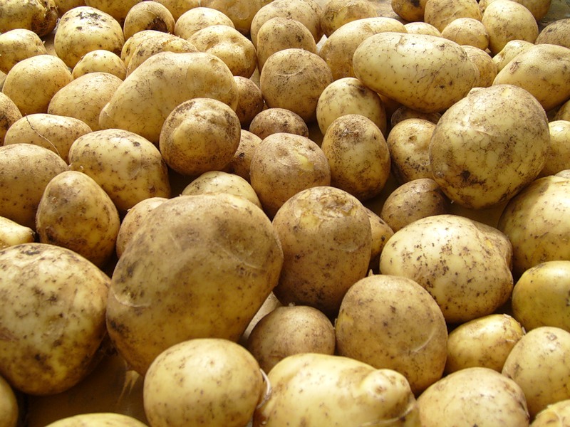 Рынок картофеля за 2010-2015 гг.