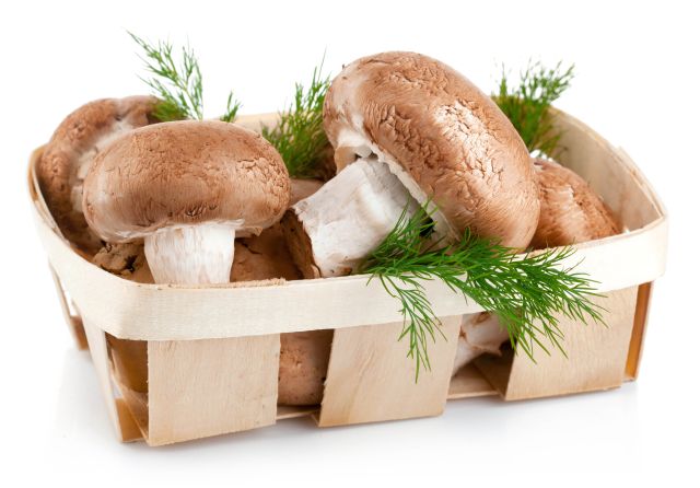 Анализ рынка грибов за 2011-2015 гг.